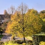 Beitragsbild zum Blogtober 2025