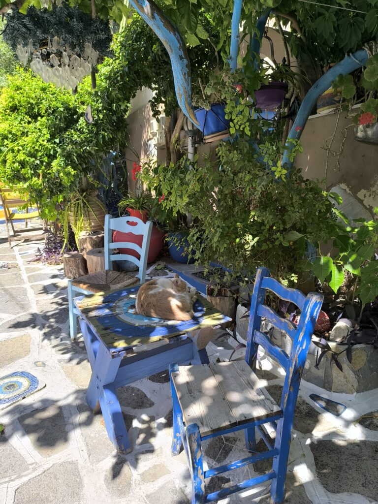 Wie du deine Finanzen ordnest