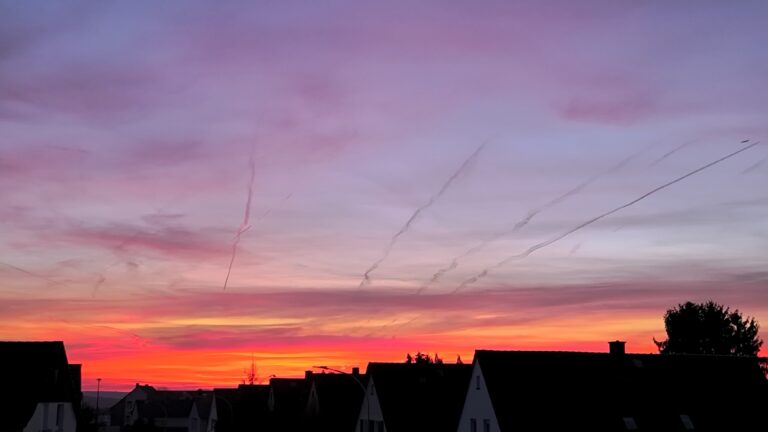 Monatsrückblick November 2025