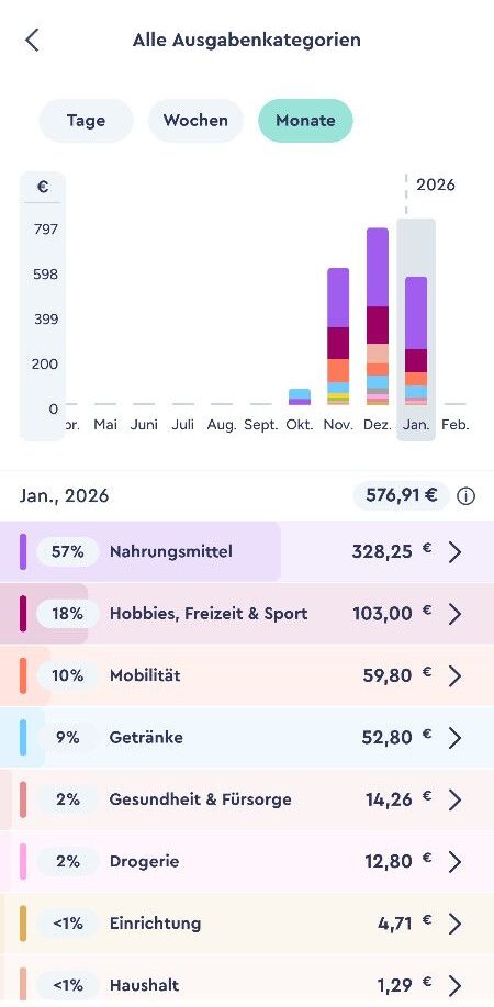 &Uuml;bersicht Ausgaben Jan. 2026